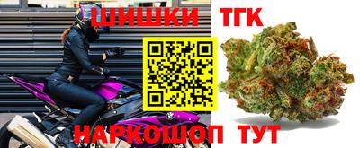 индика Лесосибирск