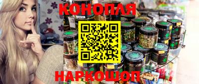 индика Лесосибирск