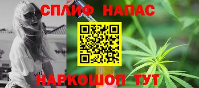 индика Лесосибирск
