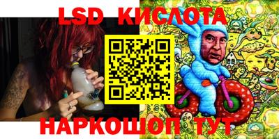индика Лесосибирск