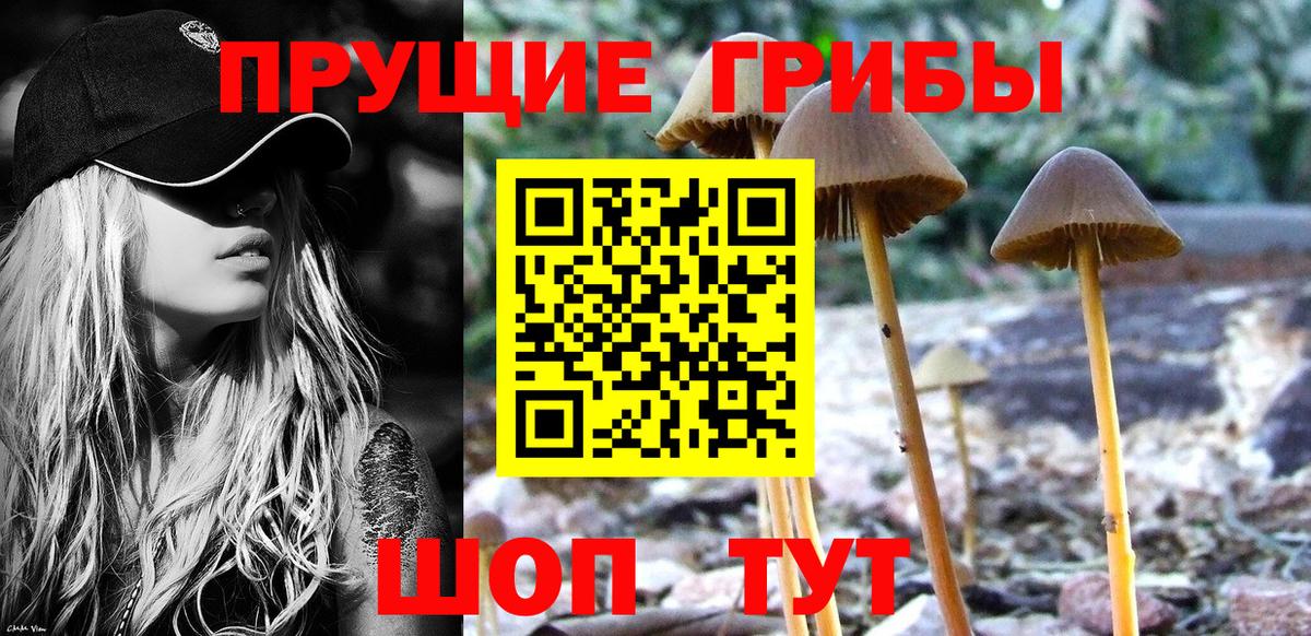 Псилоцибиновые грибы GOLDEN TEACHER  Вход с VPN  Камень-на-Оби  Псилоцибиновые грибы Magic Shrooms 