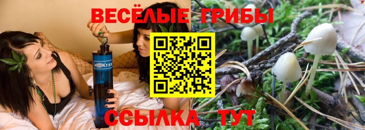 Псилоцибиновые грибы Magic Shrooms Камень-на-Оби